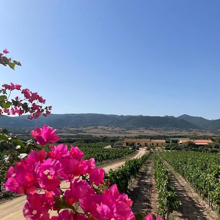 Agriturismo Campesi Casale Tra Le Vigne Aglientu Exterior photo