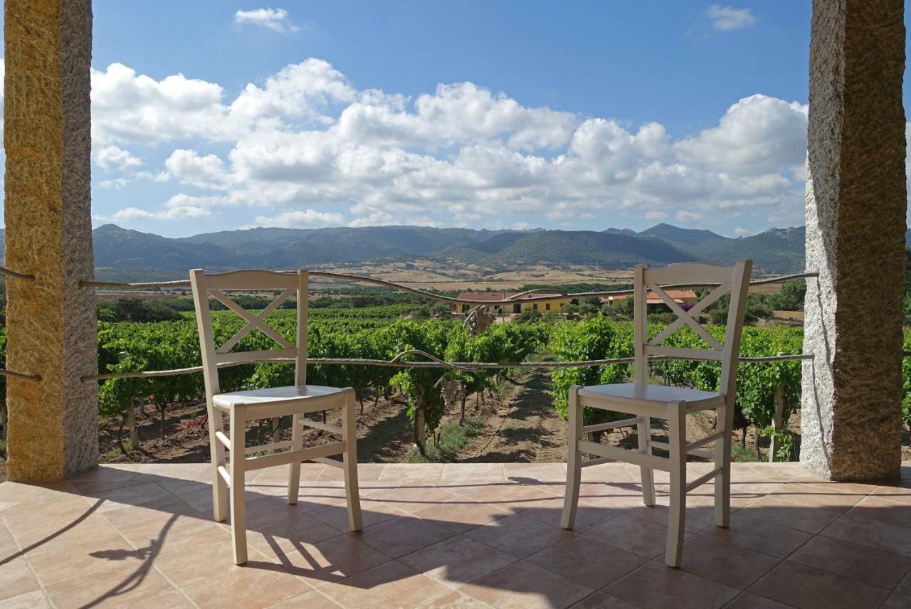 Agriturismo Campesi Casale Tra Le Vigne Aglientu Exterior photo
