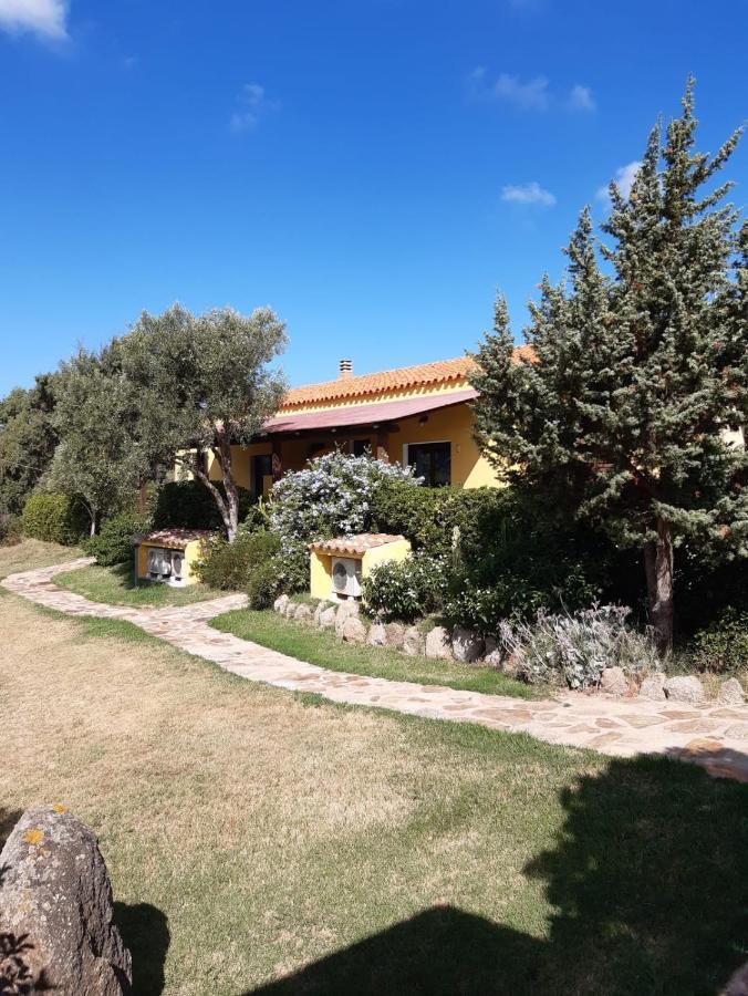Agriturismo Campesi Casale Tra Le Vigne Aglientu Exterior photo